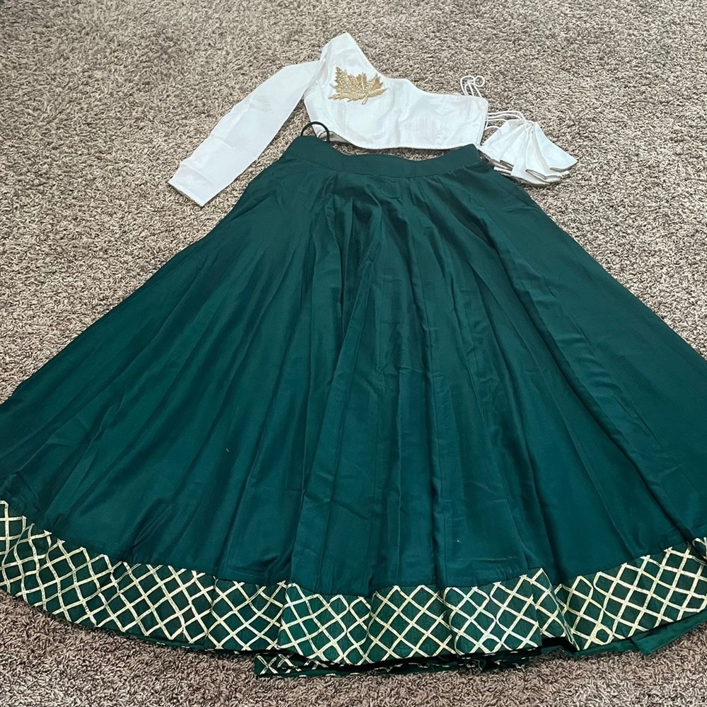 Indian lehenga choli chaniya choli